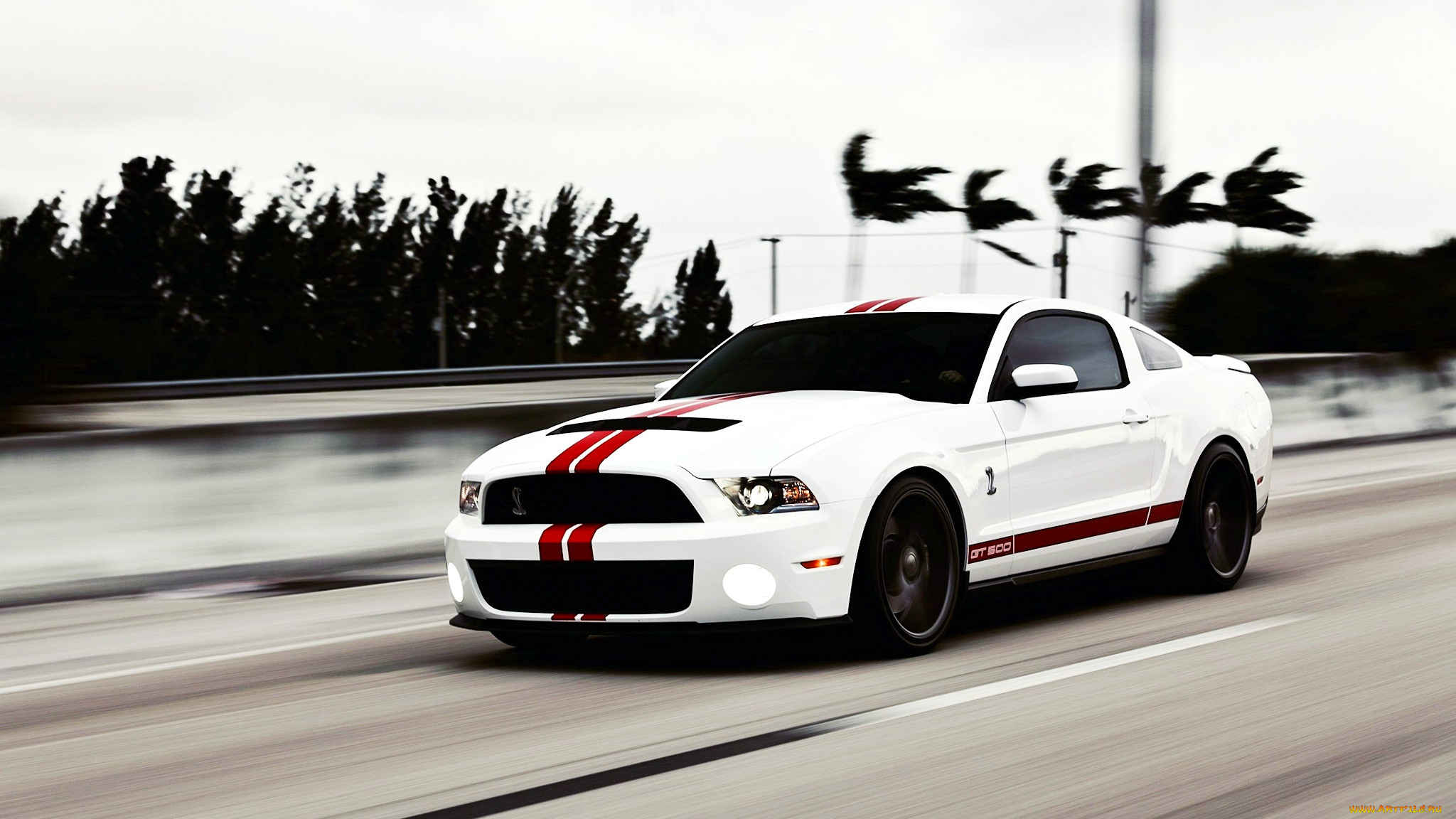 mustang, , , , , 